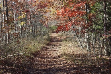 Lake Acreage For Sale in Garrison, Kentucky