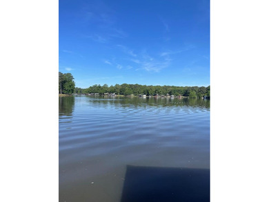 REDUCED PRICE!!! Adorable Cottage on Lake Sinclair. 2 bedrooms - photo 4