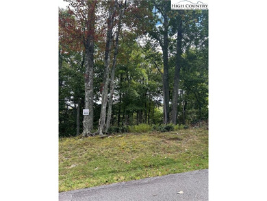 (private lake, pond, coastal) Lot For Sale in Blowing Rock North Carolina