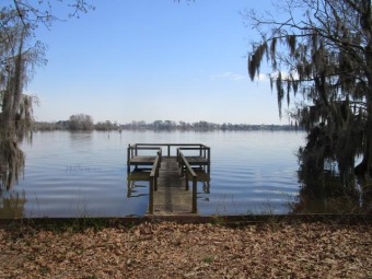 Lake Blackshear Lot Sale Pending in Cobb Georgia