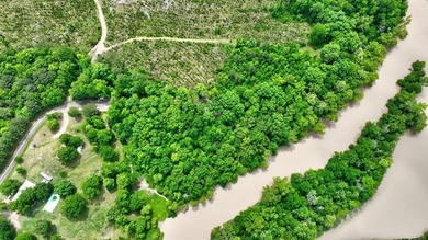 2.97 acre lot nestled on the banks of beautiful Lake Sinclair - photo 4