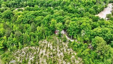 2.97 acre lot nestled on the banks of beautiful Lake Sinclair - photo 9