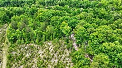 2.97 acre lot nestled on the banks of beautiful Lake Sinclair - photo 10
