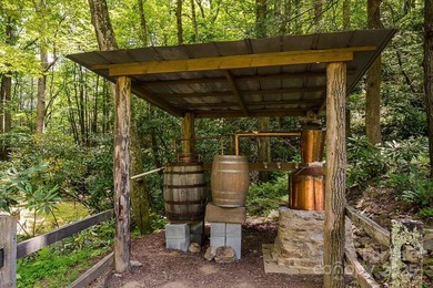 Significant 241+/-acre MOUNTAIN TOP is RESORT/ DEVELOPER'S - photo 4
