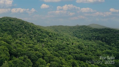 Significant 241+/-acre MOUNTAIN TOP is RESORT/ DEVELOPER'S - photo 8