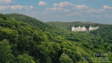 Significant 241+/-acre MOUNTAIN TOP is RESORT/ DEVELOPER'S - photo 9