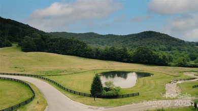Significant 241+/-acre MOUNTAIN TOP is RESORT/ DEVELOPER'S - photo 10