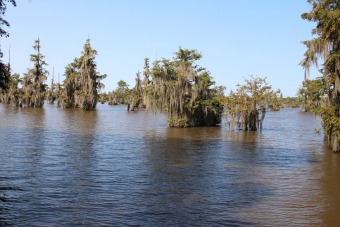 Lake Acreage For Sale in Cordele, Georgia