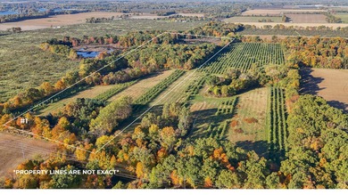 Lake Acreage For Sale in Decatur, Michigan