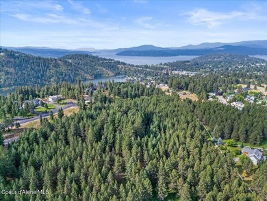5 awesome Acres in Coeur d'Alene, Idaho. Just a quick 5 minute - photo 6