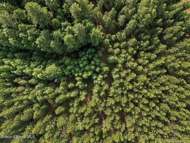 5 awesome Acres in Coeur d'Alene, Idaho. Just a quick 5 minute - photo 10