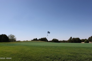 Lake Lot For Sale in Show Low, Arizona