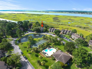Bright and sunny end unit townhouse with high ceilings, large - photo 29
