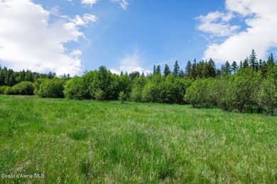 Lake Acreage For Sale in Sagle, Idaho