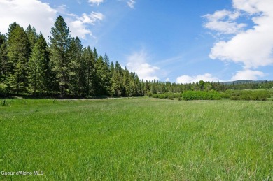 Lake Acreage For Sale in Sagle, Idaho