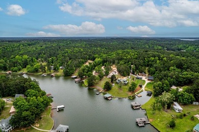 The perfect Lake Sinclair playground with a blend of privacy and - photo 4