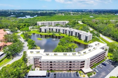 Lake Condo Sale Pending in St. Petersburg, Florida