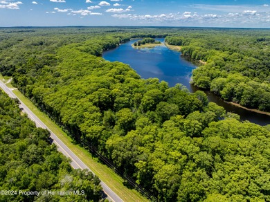 Withlacoochee River Acreage Sale Pending in Nobleton Florida