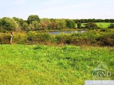 Twin Lakes Acreage For Sale in Livingston New York