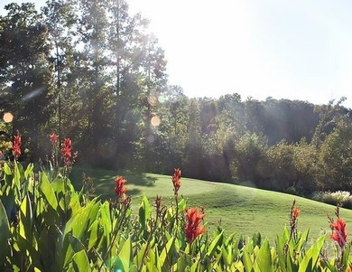 Discover the perfect opportunity to build your dream home in the - photo 10