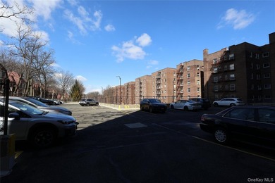 Step into this spacious one-bedroom unit in the premier - photo 28