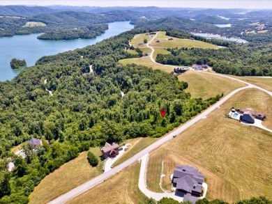 Norris Lake View Lot For Sale in Rock Harbor - Lake Lot For Sale in New Tazewell, Tennessee