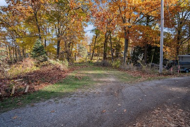 Big Pine Island Lake Lot Sale Pending in Belding Michigan