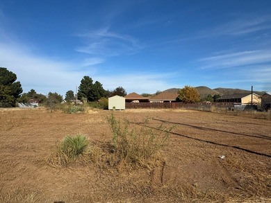 Welcome to 1607 N 7th Street, Alpine, TX - a .22-acre lot - photo 2