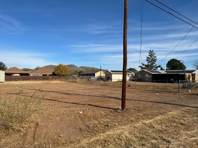 Welcome to 1607 N 7th Street, Alpine, TX - a .22-acre lot - photo 3