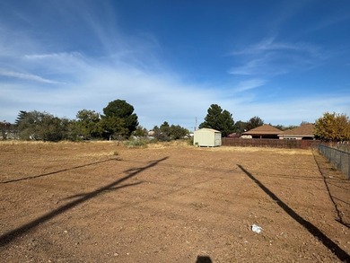 Welcome to 1607 N 7th Street, Alpine, TX - a .22-acre lot - photo 4