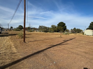 Welcome to 1607 N 7th Street, Alpine, TX - a .22-acre lot - photo 5