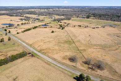 Discover your slice of Texas paradise! Imagine crafting your - photo 9