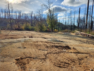 Oroville Lake Acreage For Sale in Berry Creek California