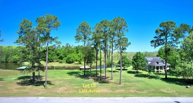 Lake Blackshear Lot For Sale in Cordele Georgia