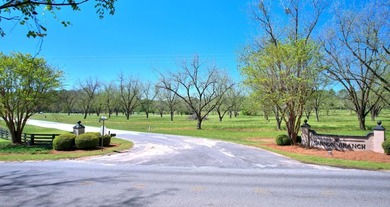 Lot # 17/2600 Sq. Ft. Required Lot #17 Also features a double - photo 2