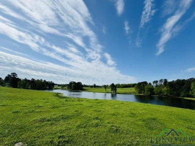 (private lake, pond, creek) Acreage For Sale in Queen City Texas