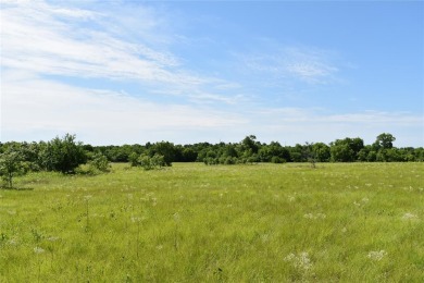 Moss Lake Acreage Sale Pending in Gainesville Texas