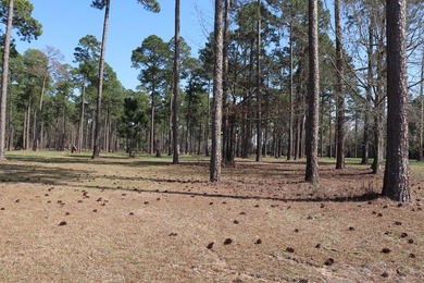 Wonderful Lake Views!!! PRIME LOT!!! Per Restrictive Covenants - photo 9