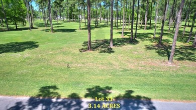 Lake Blackshear Acreage For Sale in Cordele Georgia