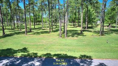 Lake Blackshear Acreage For Sale in Cordele Georgia