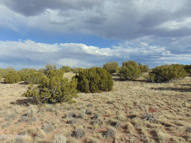 Concho Lake Lot For Sale in Concho Arizona