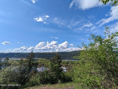Lake Lot For Sale in Harrison, Idaho