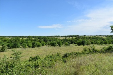 Moss Lake Acreage For Sale in Gainesville Texas