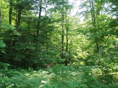 Beautiful Parcel ''J'', very close to Lake Michigan - photo 11