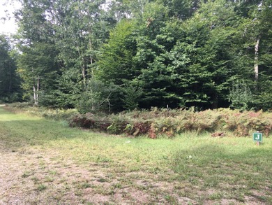 Beautiful Parcel ''J'', very close to Lake Michigan - photo 12