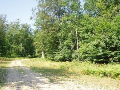 Beautiful Parcel ''J'', very close to Lake Michigan - photo 13