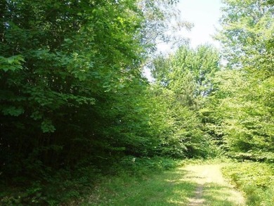 Beautiful Parcel ''J'', very close to Lake Michigan - photo 14