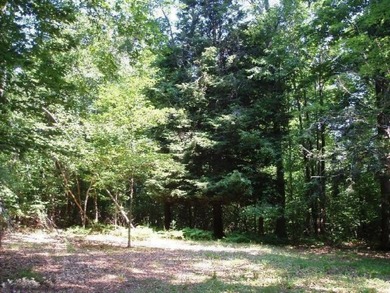 Beautiful Parcel ''J'', very close to Lake Michigan - photo 15