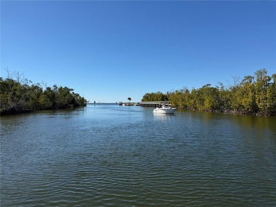 Welcome to Sought-after Eagle Point, A Vibrant 55+ Co-Op Park - photo 48