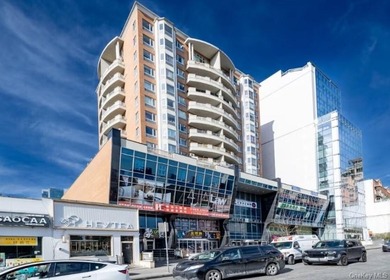 Prime Ground Floor Retail Condo in the Hottest Area of Flushing - photo 2